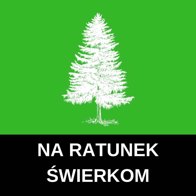 Lasy Gov Pl Informacje Transmisje Online Nadleśnictwo Andrychów - Lasy Państwowe